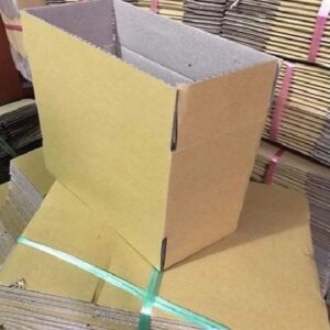 Carton đóng gói