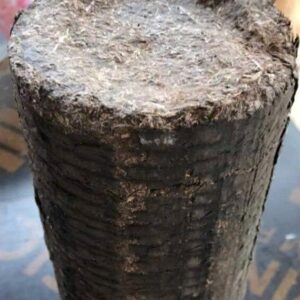 Củi đấm