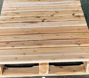 Pallet thông